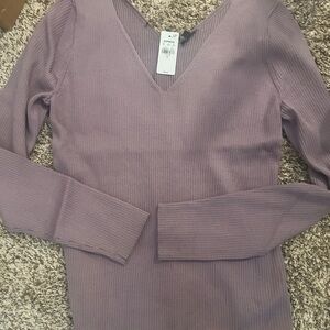 Express Purple Long Sleeve V-Neck Top